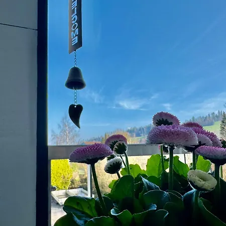 Grosse Mit Sauna Appartamento