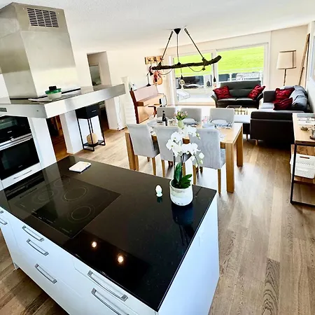 Grosse Mit Sauna Apartment Huttwil