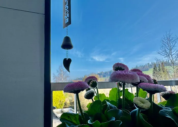 Grosse Mit Sauna Apartament