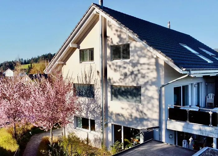 Grosse Mit Sauna Apartament *